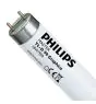Philips MASTER TL - D Graphica 58W - 952 Koel Wit | 150cm