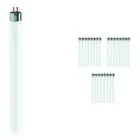 Voordeelpak 25x Philips TL Mini 13W 33-640 - 52cm